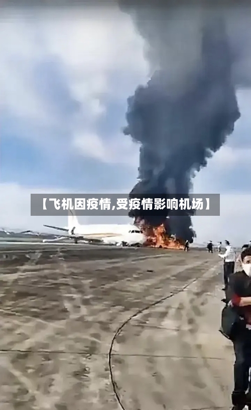 【飞机因疫情,受疫情影响机场】-第3张图片
