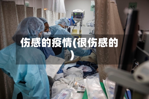 伤感的疫情(很伤感的)-第2张图片