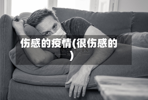 伤感的疫情(很伤感的)-第3张图片