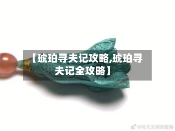 【琥珀寻夫记攻略,琥珀寻夫记全攻略】
