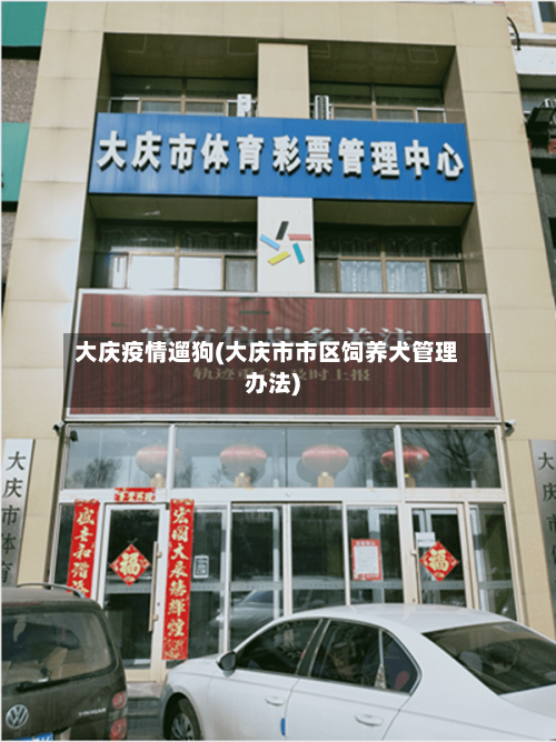 大庆疫情遛狗(大庆市市区饲养犬管理办法)