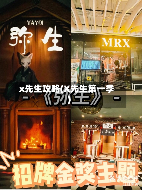 x先生攻略(X先生第一季)