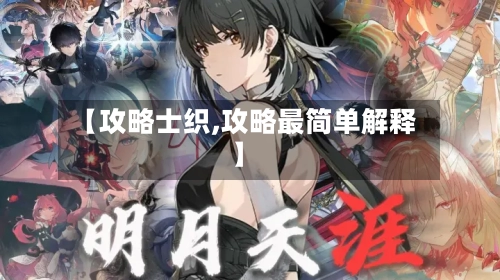 【攻略士织,攻略最简单解释】-第2张图片