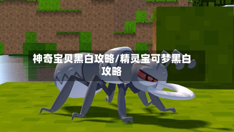 神奇宝贝黑白攻略/精灵宝可梦黑白攻略