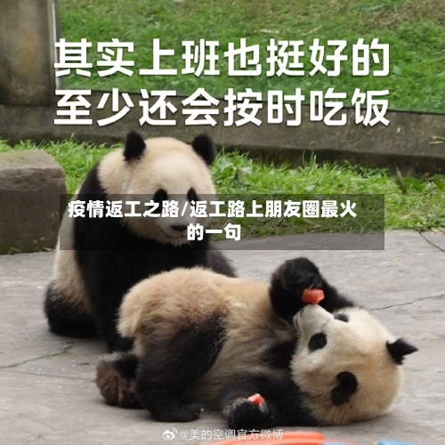 疫情返工之路/返工路上朋友圈最火的一句