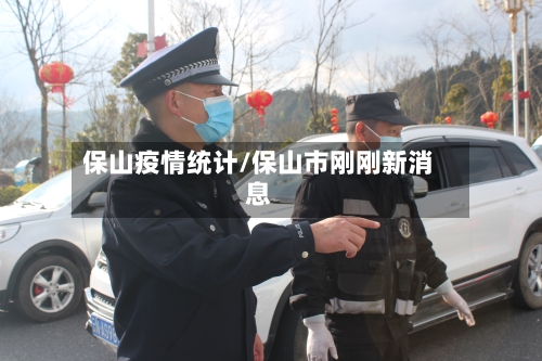保山疫情统计/保山市刚刚新消息-第2张图片