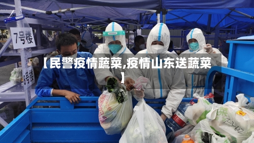 【民警疫情蔬菜,疫情山东送蔬菜】-第1张图片