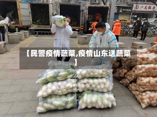 【民警疫情蔬菜,疫情山东送蔬菜】-第3张图片
