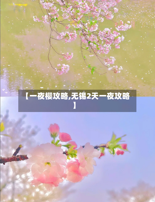 【一夜樱攻略,无锡2天一夜攻略】