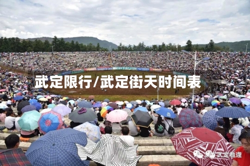武定限行/武定街天时间表